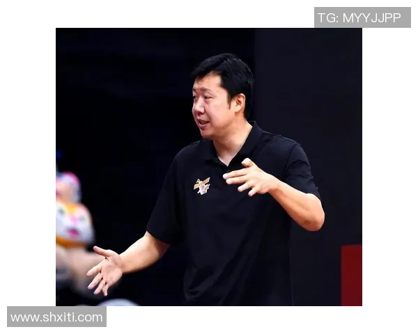 姚明与王治郅的篮球传奇：从梦想起航到国际舞台的辉煌历程