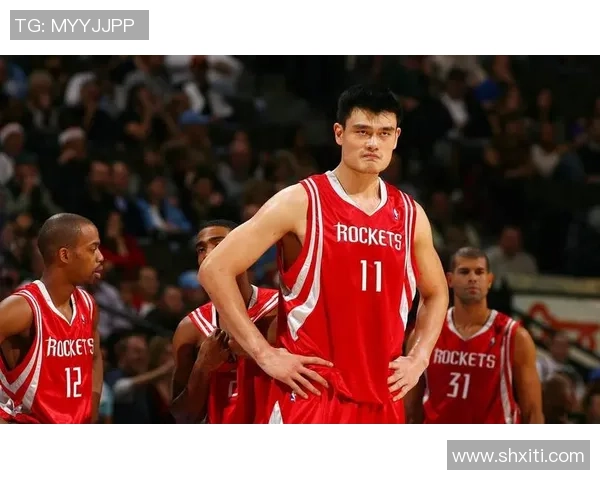 姚明姚头的传奇人生与篮球梦想的完美交织