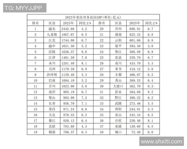 重庆飞盘队状态分析与未来发展展望探讨