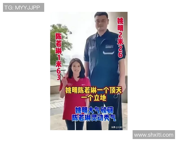 陈都灵与姚明的跨界合作揭示体育与艺术的完美融合之道