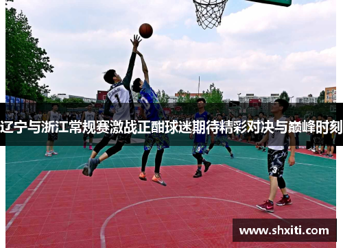 辽宁与浙江常规赛激战正酣球迷期待精彩对决与巅峰时刻